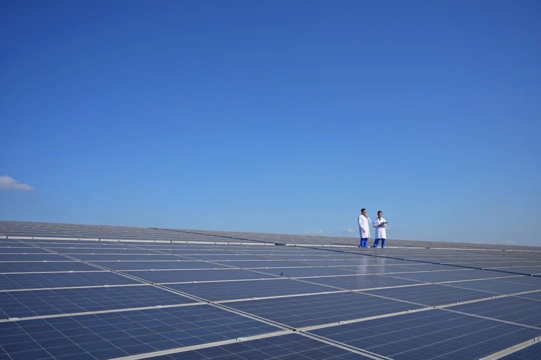 好博(中国)体育智能科技股份有限公司网站